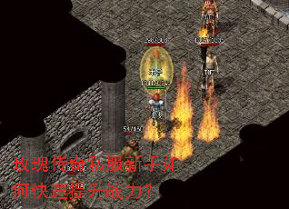 玫瑰传奇私服新手如何快速提升战力? 玫瑰传奇私服新手如何快速提升战力?