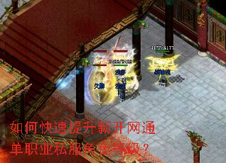 如何快速提升新开网通单职业私服角色等级? 如何快速提升新开网通单职业私服角色等级?