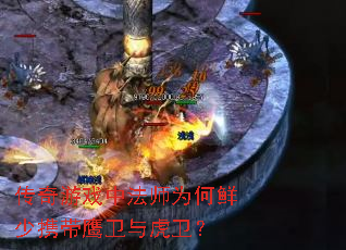 传奇游戏中法师为何鲜少携带鹰卫与虎卫? 传奇游戏中法师为何鲜少携带鹰卫与虎卫?