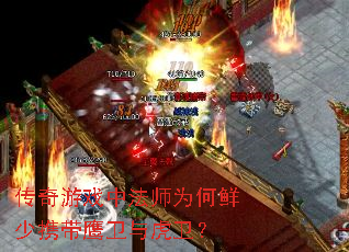 传奇游戏中法师为何鲜少携带鹰卫与虎卫? 传奇游戏中法师为何鲜少携带鹰卫与虎卫?