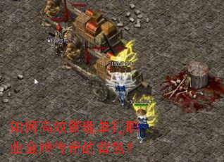 如何高效管理单打职业金牌传奇的背包? 如何高效管理单打职业金牌传奇的背包?