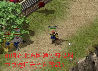 如何在北方网通传奇私服中快速提升角色等级? 如何在北方网通传奇私服中快速提升角色等级?