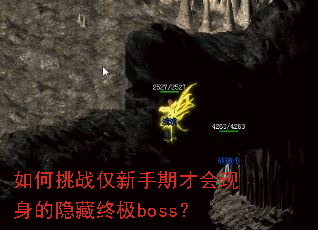 �����ս�������ڲŻ������������ռ�boss��