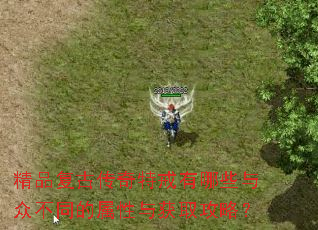 精品复古传奇特戒有哪些与众不同的属性与获取攻略? 精品复古传奇特戒有哪些与众不同的属性与获取攻略?