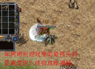如何辨别游戏里的最终头目是真是假?终极攻略揭秘 如何辨别游戏里的最终头目是真是假?终极攻略揭秘