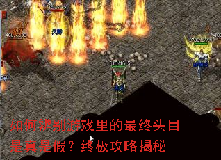 如何辨别游戏里的最终头目是真是假?终极攻略揭秘 如何辨别游戏里的最终头目是真是假?终极攻略揭秘