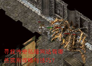 寻找传奇私服网站有哪些实用攻略与技巧? 寻找传奇私服网站有哪些实用攻略与技巧?