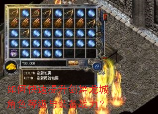 如何快速提升剑舞龙城角色等级与装备战力? 如何快速提升剑舞龙城角色等级与装备战力?