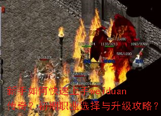 新手如何快速上手weiduan传奇?初期职业选择与升级攻略? 新手如何快速上手weiduan传奇?初期职业选择与升级攻略?
