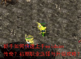 新手如何快速上手weiduan传奇?初期职业选择与升级攻略? 新手如何快速上手weiduan传奇?初期职业选择与升级攻略?