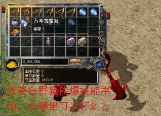 传奇白野猪能爆技能书吗,在哪里可以打到? 传奇白野猪能爆技能书吗,在哪里可以打到?