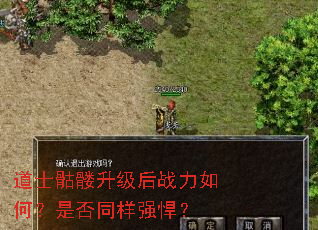 道士骷髅升级后战力如何?是否同样强悍? 道士骷髅升级后战力如何?是否同样强悍?
