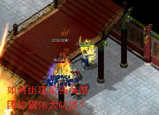 如何组建最强海贼团称霸伟大航路? 如何组建最强海贼团称霸伟大航路?