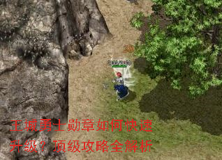 王城勇士勋章如何快速升级?顶级攻略全解析 王城勇士勋章如何快速升级?顶级攻略全解析
