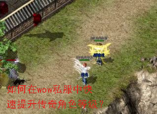 如何在wow私服中快速提升传奇角色等级? 如何在wow私服中快速提升传奇角色等级?