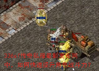 336sf传奇私服最新发布网中,如何快速提升角色战斗力? 336sf传奇私服最新发布网中,如何快速提升角色战斗力?