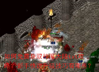 如何免费获取神魔大陆txt攻略?新手快速升级技巧有哪些? 如何免费获取神魔大陆txt攻略?新手快速升级技巧有哪些?