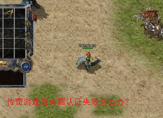 ������Ϸ��������֤ʧ����ô�죿