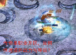 ���浥ְҵ��������ο�������ս����ȼ���