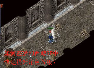 如何在梦幻西游SF中快速提升角色等级? 如何在梦幻西游SF中快速提升角色等级?