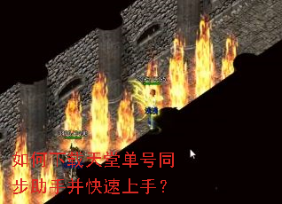 如何下载天堂单号同步助手并快速上手? 如何下载天堂单号同步助手并快速上手?