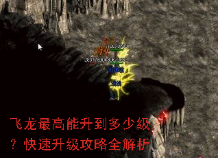 飞龙最高能升到多少级?快速升级攻略全解析 飞龙最高能升到多少级?快速升级攻略全解析