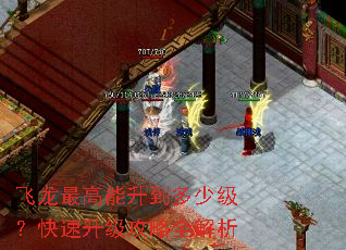 飞龙最高能升到多少级?快速升级攻略全解析 飞龙最高能升到多少级?快速升级攻略全解析