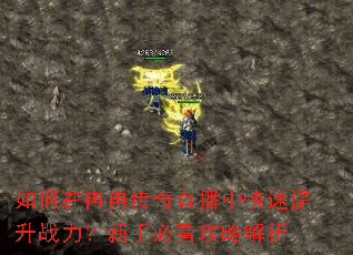 如何在冉冉传奇直播中快速提升战力?新手必看攻略解析 如何在冉冉传奇直播中快速提升战力?新手必看攻略解析