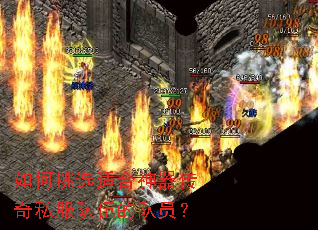 如何挑选适合神器传奇私服队伍的队员? 如何挑选适合神器传奇私服队伍的队员?