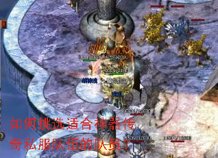 如何挑选适合神器传奇私服队伍的队员? 如何挑选适合神器传奇私服队伍的队员?