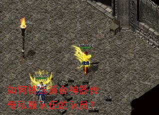如何挑选适合神器传奇私服队伍的队员? 如何挑选适合神器传奇私服队伍的队员?