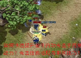 如何快速提升金牛内功合击手游角色战力?合击技能搭配有哪些技巧? 如何快速提升金牛内功合击手游角色战力?合击技能搭配有哪些技巧?
