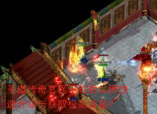 圣道传奇官网下载后如何快速升级与获取极品装备? 圣道传奇官网下载后如何快速升级与获取极品装备?