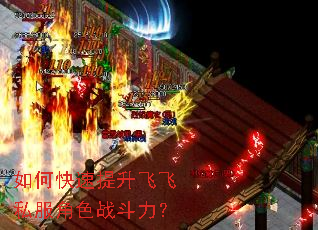 如何快速提升飞飞私服角色战斗力? 如何快速提升飞飞私服角色战斗力?