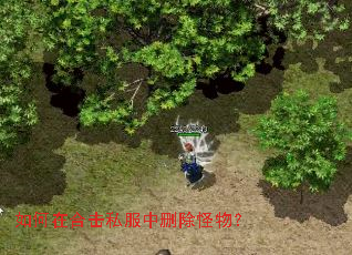 如何在合击私服中删除怪物? 如何在合击私服中删除怪物?