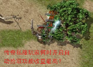 ����˽����Һ�ʱ�����Զ�ʰȡ����������ߣ�