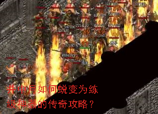 井中月如何蜕变为练级神器的传奇攻略? 井中月如何蜕变为练级神器的传奇攻略?