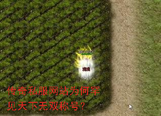 传奇私服网站为何罕见天下无双称号? 传奇私服网站为何罕见天下无双称号?