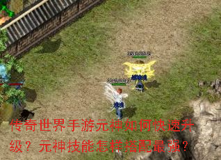 传奇世界手游元神如何快速升级?元神技能怎样搭配最强? 传奇世界手游元神如何快速升级?元神技能怎样搭配最强?