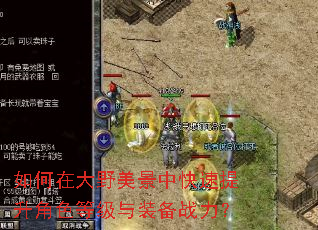 如何在大野美景中快速提升角色等级与装备战力? 如何在大野美景中快速提升角色等级与装备战力?