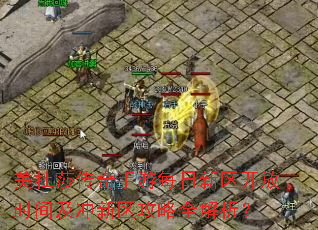 美杜莎传奇手游每日新区开放时间及冲新区攻略全解析? 美杜莎传奇手游每日新区开放时间及冲新区攻略全解析?