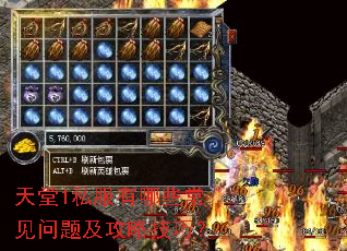 天堂1私服有哪些常见问题及攻略技巧? 天堂1私服有哪些常见问题及攻略技巧?