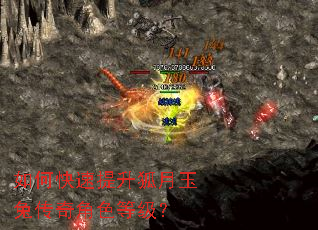 如何快速提升狐月玉兔传奇角色等级? 如何快速提升狐月玉兔传奇角色等级?