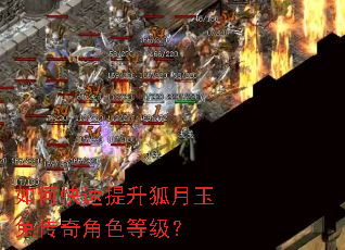 如何快速提升狐月玉兔传奇角色等级? 如何快速提升狐月玉兔传奇角色等级?